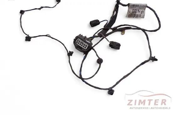 Other wiring loom