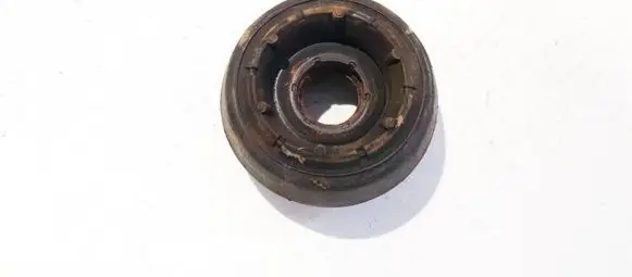 Coil spring mount