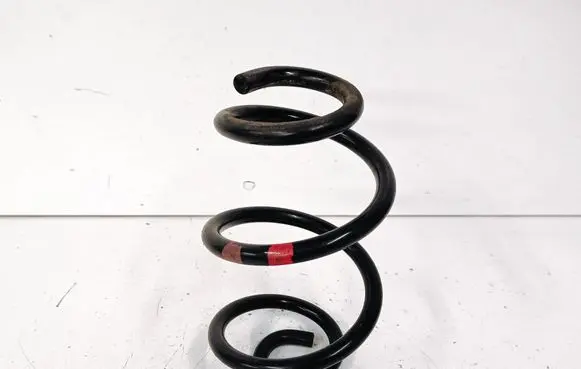 Rear coil spring