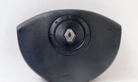 Renault Kangoo II Side airbag 193654