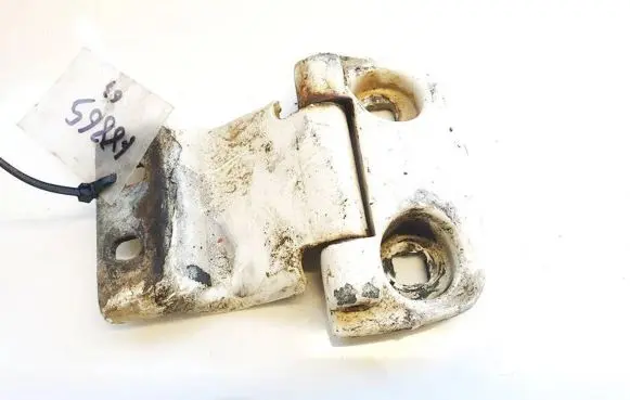 Rear door lower hinge