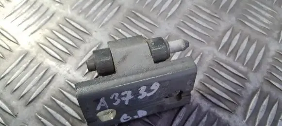 Volvo S80 Rear door lower hinge
