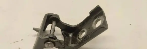 Rear door lower hinge