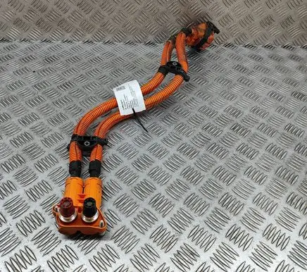 Citroen C4 III e-C4 Other wiring loom 9832922980
