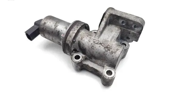 Hyundai i20 (PB PBT) EGR valve 28410-4A470
