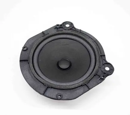 Rear door speaker