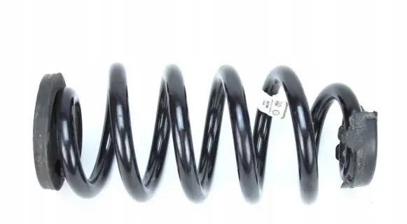 Rear coil spring