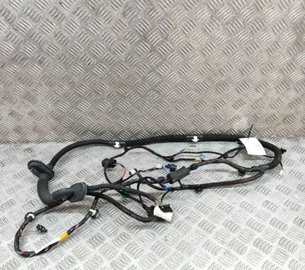 Front door wiring loom