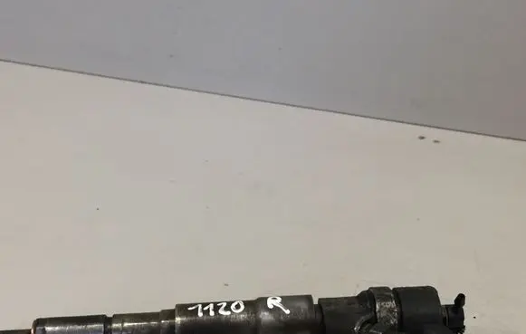 BMW 5 E39 Fuel injector 0445110047 7785984