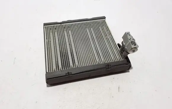 Lexus NX Air conditioning (A/C) radiator (interior) 8850142110