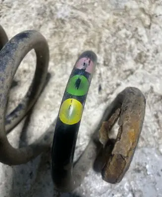 Rear coil spring