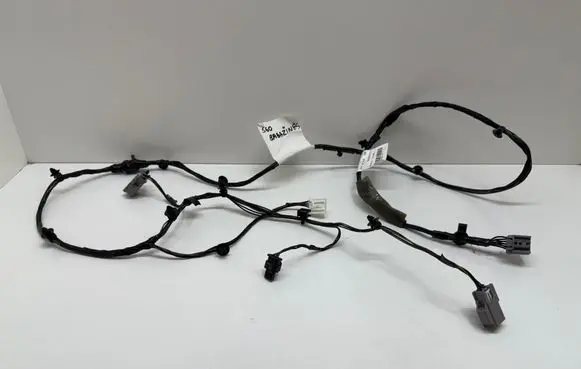 Other wiring loom
