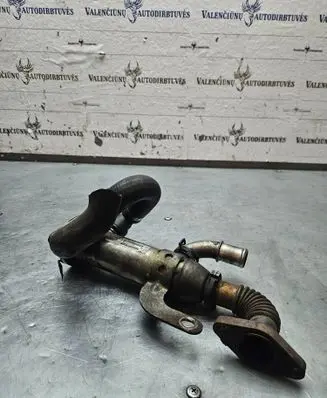Ford Focus C-MAX EGR valve cooler 9645689780 875816W