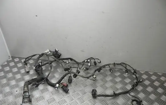 Engine installation wiring loom