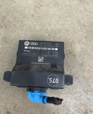 Volkswagen PASSAT B6 Gateway control module 3C0907530C 402063