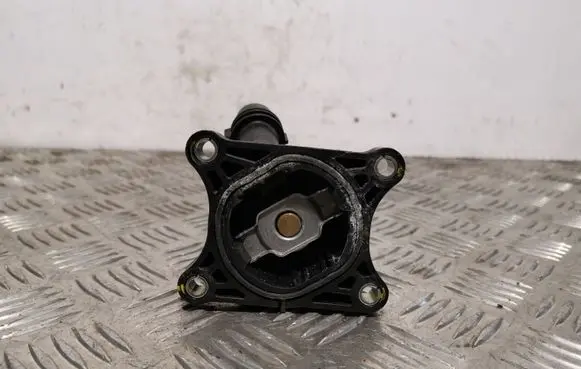 Thermostat/thermostat housing