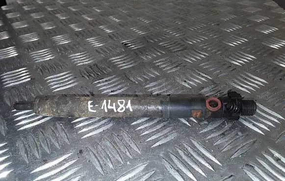 Ford Kuga I Fuel injector 9686191080 embr00101d