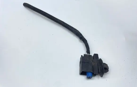 Hyundai Ioniq 5 Other wiring loom