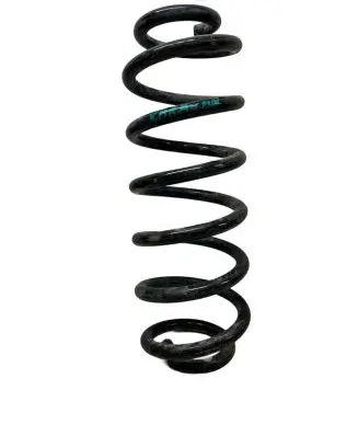 Volkswagen PASSAT B6 Rear coil spring