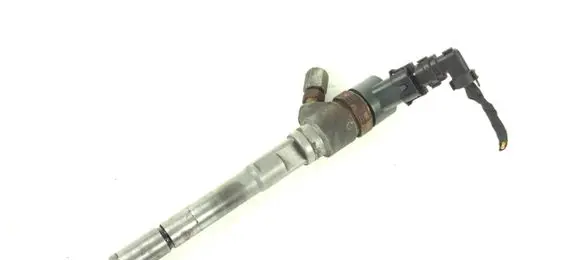 Hyundai Santa Fe Fuel injector 0445110254 3380027800