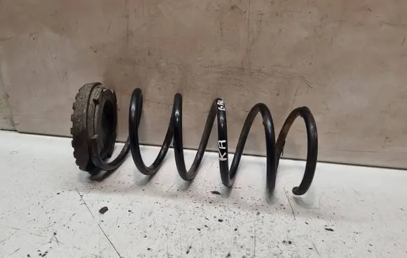 Rear coil spring