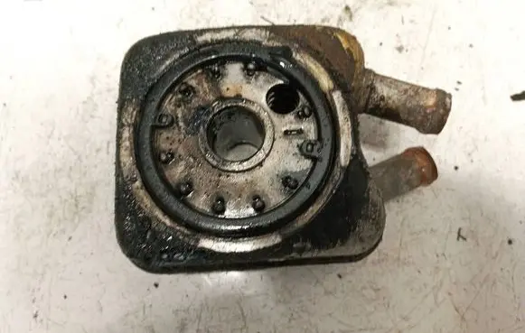 Volkswagen PASSAT B5 Engine oil radiator 