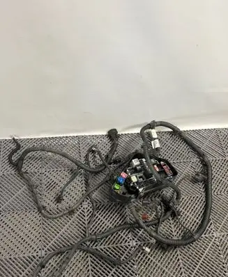 Porsche Cayenne (92A) Engine installation wiring loom 7P5971072