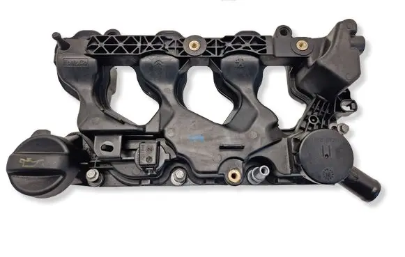 Citroen Berlingo Rocker cam cover P1001845