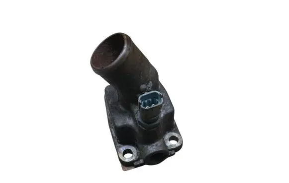 Thermostat/thermostat housing