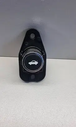 Dodge Challenger Tailgate opening switch 68141864AAA 10094024 050115