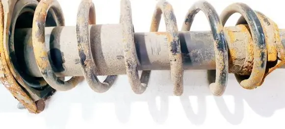 Toyota Prius (XW20) Rear coil spring