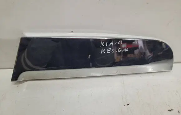 Other rear door trim element