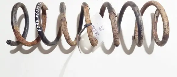 Ford Focus Rear coil spring
