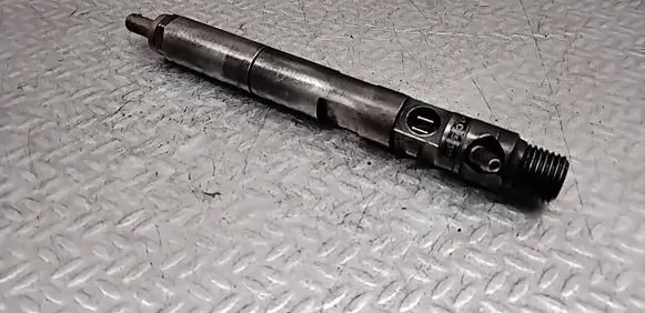 Renault Clio III Fuel injector 