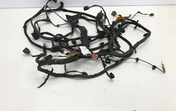 Cupra Born Wiring harness TAB016490CB 2150274321 5027432