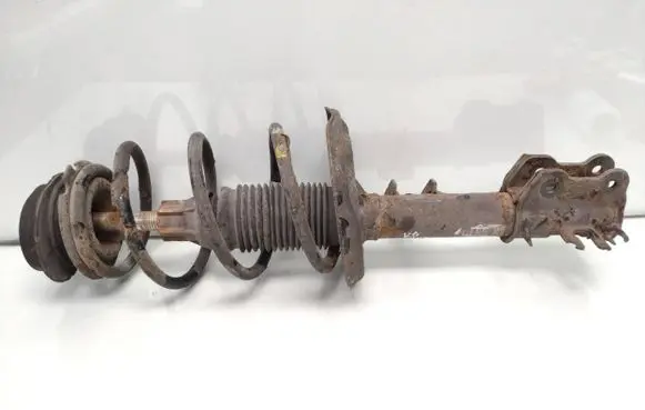 Fiat 500 Front shock absorber with coil spring 51871427