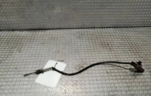 Exhaust gas temperature sensor