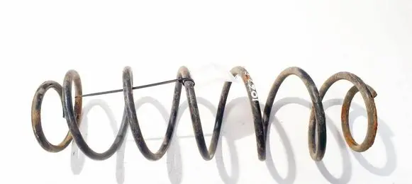 Rear coil spring
