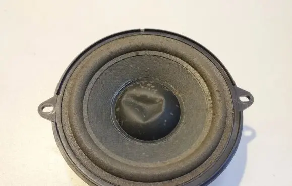 Renault Scenic II - Grand scenic II Front door speaker