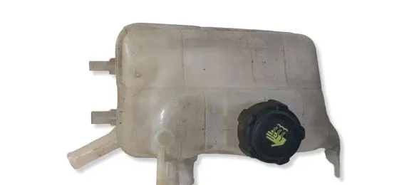 Renault Megane III Coolant expansion tank/reservoir 217100005R