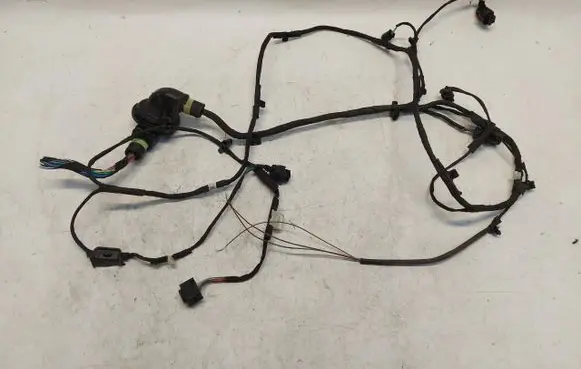 BMW 4 G22 G23 G24 G26 Front door wiring loom/harness boot BMWG23Wia8702933