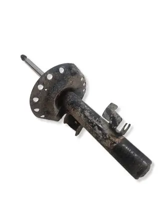 Ford S-MAX Front shock absorber/damper 1234