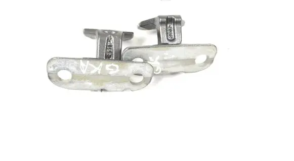 Jaguar E-Pace Rear door lower hinge