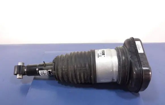 BMW X7 G07 Rear shock absorber/damper 6869040