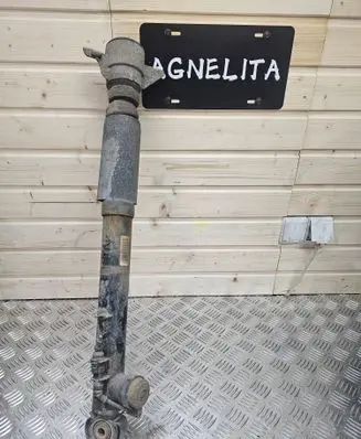 Rear shock absorber/damper