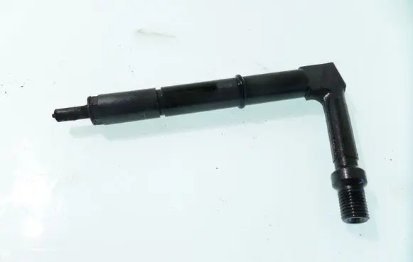 Nissan Almera Tino Fuel injector 1202Z484391