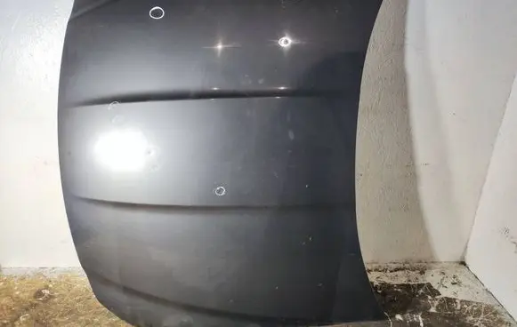 Engine bonnet/hood