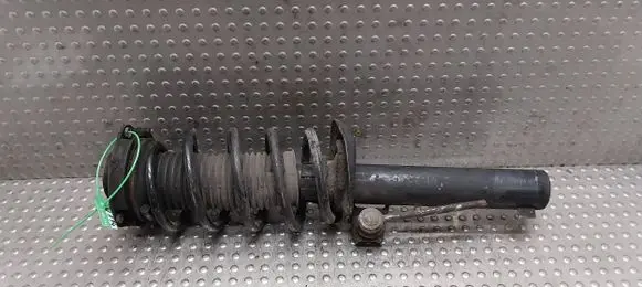 Volkswagen Golf V Front shock absorber/damper 1K0413031BG