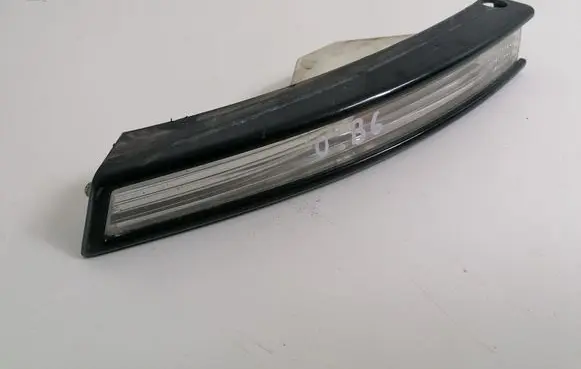 Volkswagen PASSAT B6 Front indicator light 3C0953041E