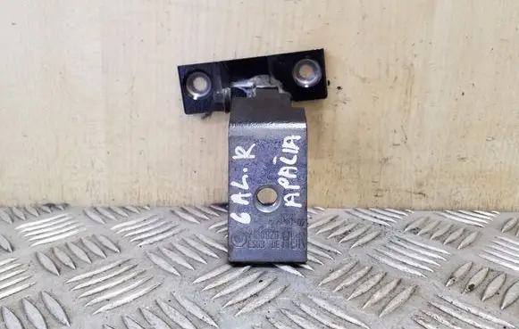 BMW X6 E71 Rear door lower hinge 7160826